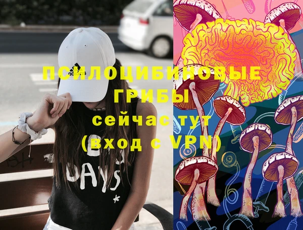 крисы Бабаево