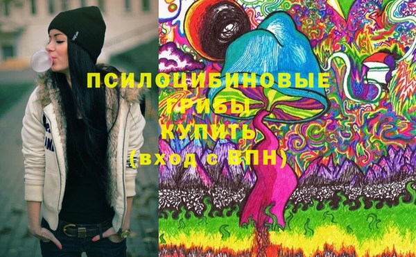 крисы Бабаево